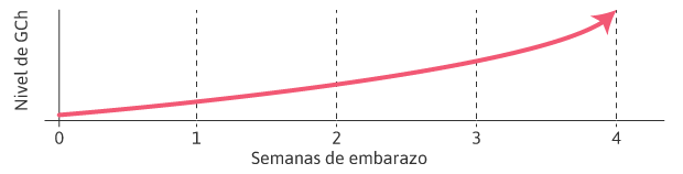 Nivel de GCh en el Embarazo